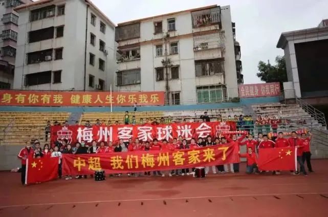 精品视频在线免费观看
